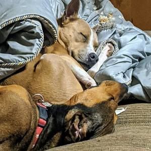 Meet your Posher, Beverly